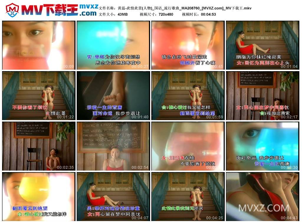 黄磊-此情此景(人物)_国语_流行歌曲_MA208760